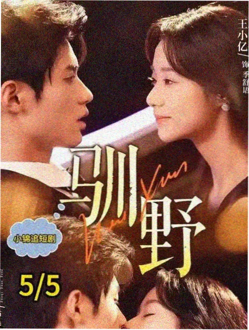 你好对方辩友 第一季封面